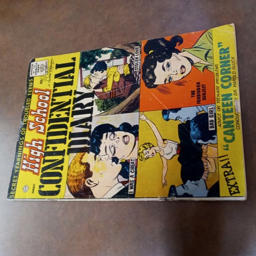 High school confidential diary - high,