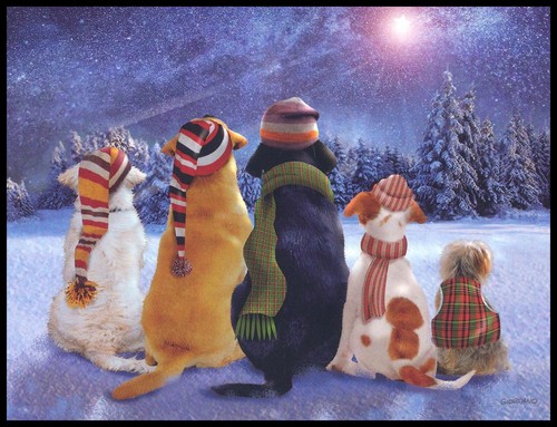 Greeting card dog - -,