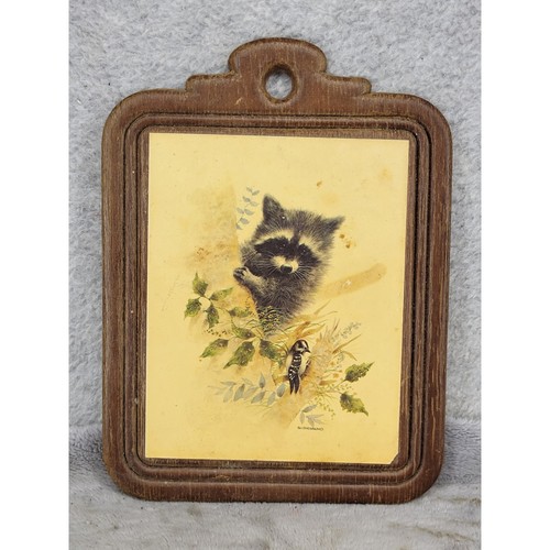 Vintage giordano raccoon - vintage,