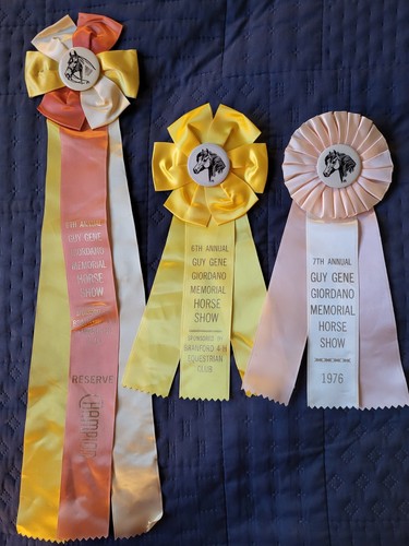 6th annual guy giordano - guy, giordano"