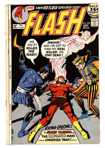 Flash 209 fine - flash, #209